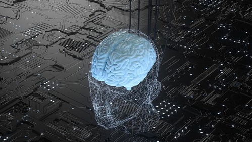 腦機接口 當大腦與網(wǎng)絡相連，未來離我們還有多遠？